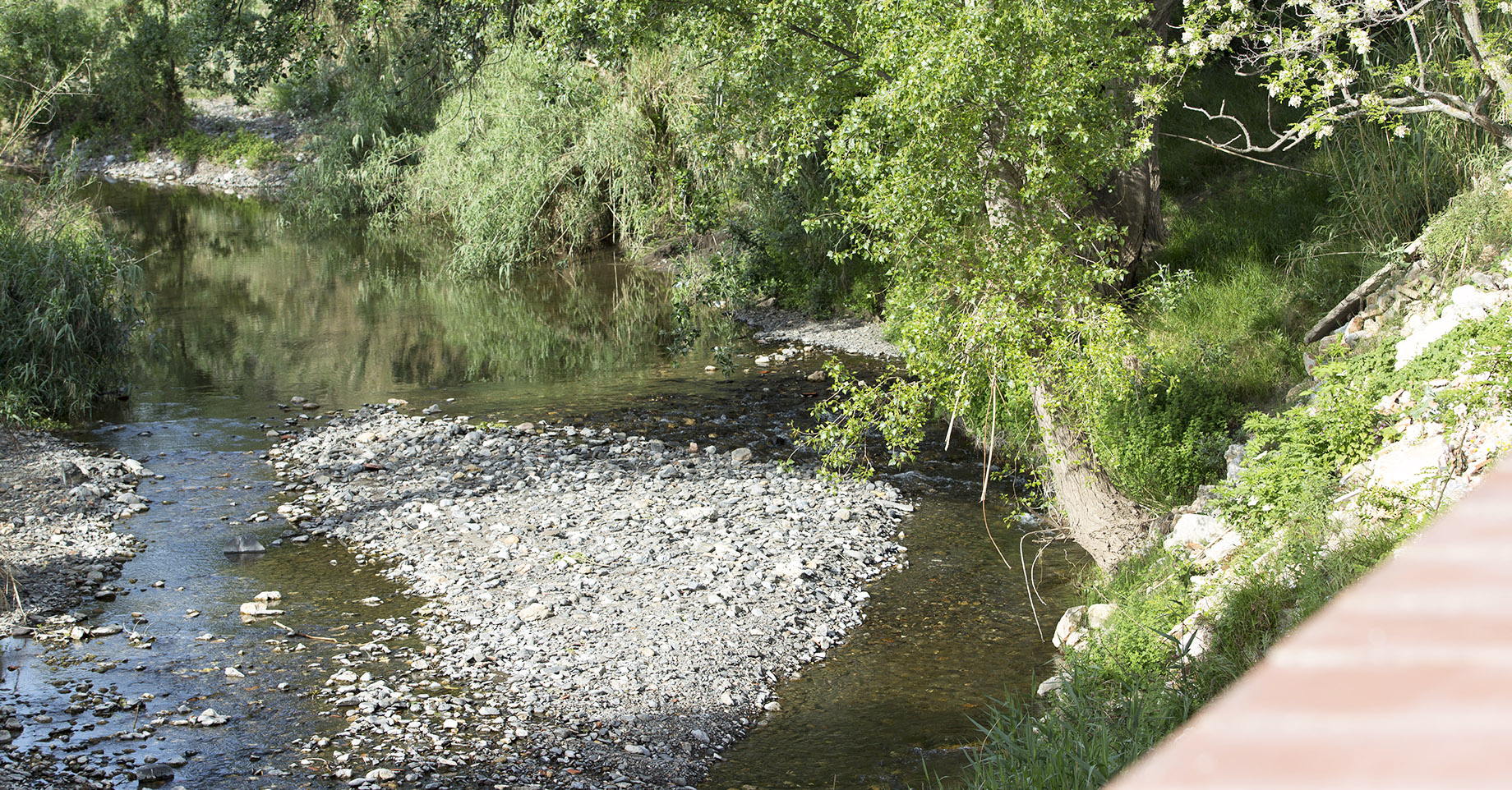 photo3